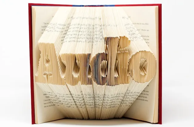 AudioBook Lower Image 1